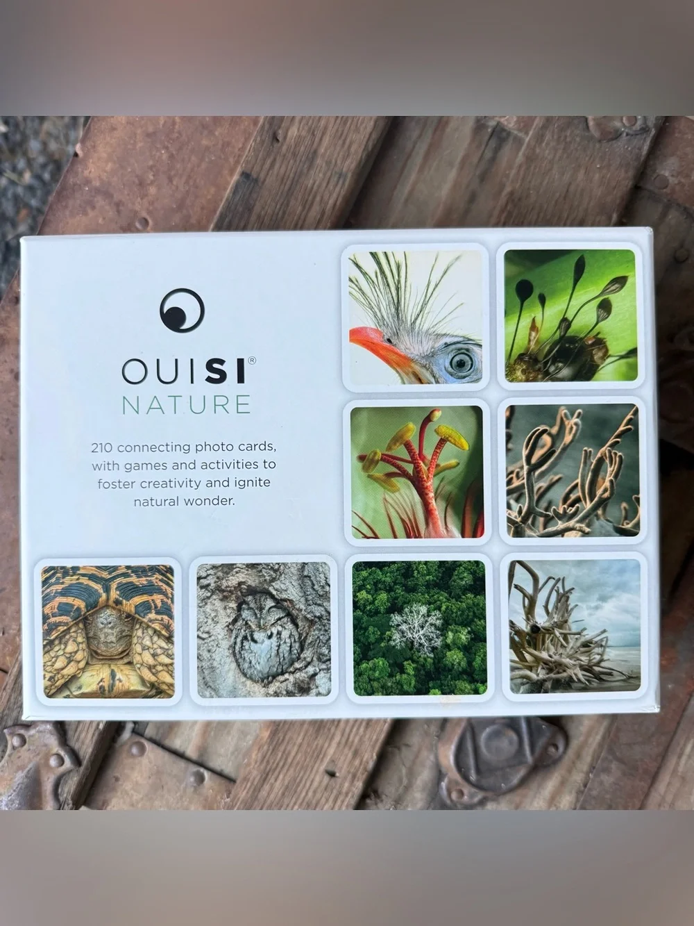 Ouisi Nature Games and Activities